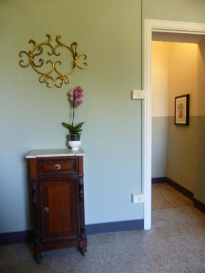 Apartament Il Casale Lukka Zewnętrze zdjęcie